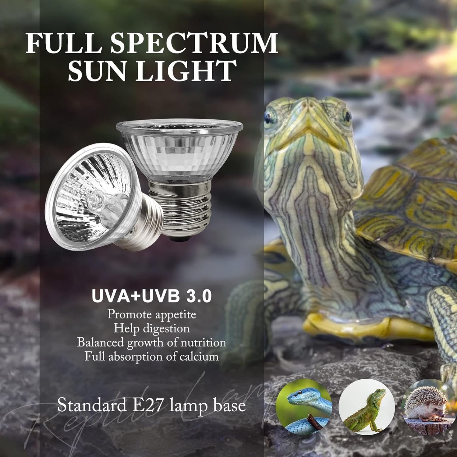 Comparing 5 Reptile Lights: Nano Combo, Heat Lamp, Moonlite Bulb, Mini Compact Fixture, and UVB Light Bulb